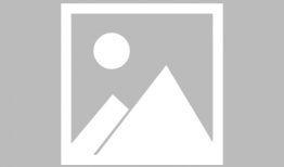 黄灰漫画,幽默与讽刺的视觉盛宴