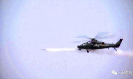 暮鹰归巢漫画,探寻孤独灵魂的归宿之旅